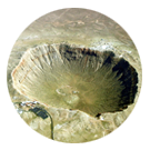 Canyon Diablo Meteorites